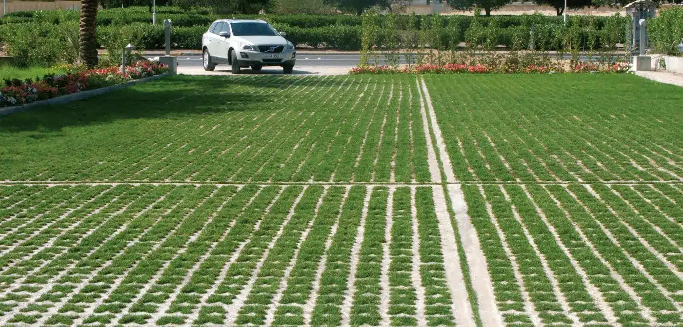Permeable Paving